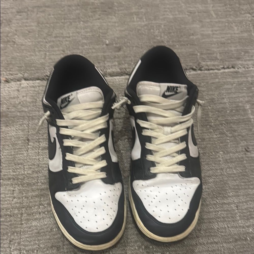 Nike Black and White Sneaker panda